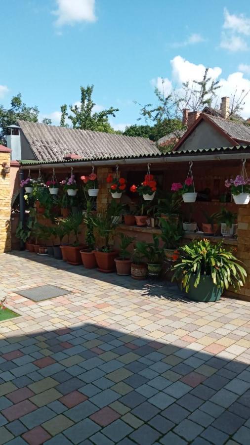Guest House Zhanna Berehowo Zewnętrze zdjęcie